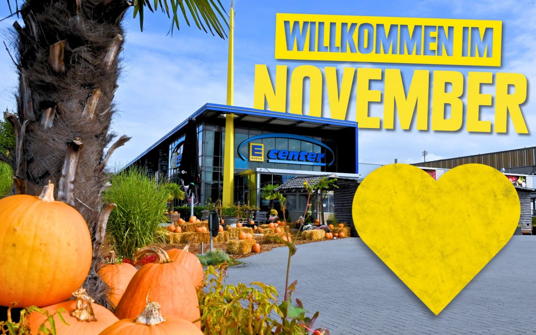 Unsere Aktionen & Events im November